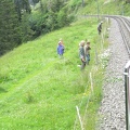 12 People clearing brush along the tracks